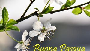 Buona PASQUA