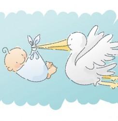 E' ARRIVATA UNA BIMBA !