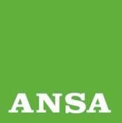 INDIGNATI: SIAP-ANFP, PROBLEMI PAESE SI SCARICANO SU PIAZZA