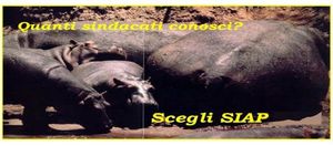 Il S.I.A.P. ancora e sempre in Piazza per difendere il nostro Stipendio