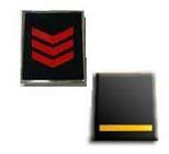 Iniziative S.I.A.P. - Disposizioni per il superamento del blocco delle assunzioni nella PA e per lo scorrimento delle graduatorie degli idonei 