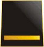 SCORRIMENTO GRADUATORIE- accesso ruolo Sovrintendenti.