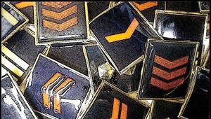 SCRUTINI A RUOLO APERTO E PER MERITO ASSOLUTO  - LE CIRCOLARI