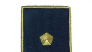 CONCORSO INTERNO A 1400 POSTI PER L\'ACCESSO ALLA QUALIFICA DI VICE ISPETTORE.