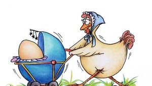 E\' NATA UNA BIMBA !