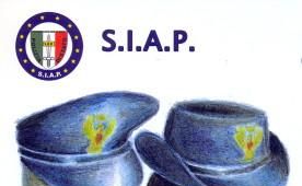 Direzione Nazionale Siap - delibera