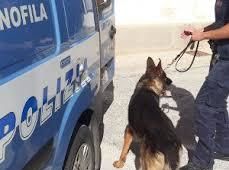 SELEZIONE PERSONALE PER FREQUENZA CORSO CINOFILI ANTIESPLOSIVI