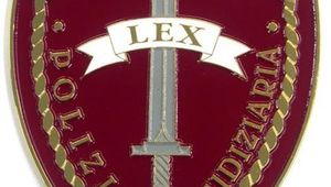 RIORGANIZZAZIONE SQUADRE MOBILI - PARERE