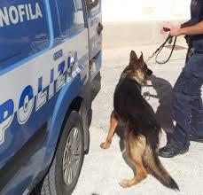 SELEZIONE PERSONALE PER FREQUENZA CORSO CINOFILI ANTIESPLOSIVI