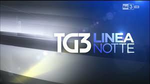 IL SEGRETARIO GENERALE TIANI A  RAI3 -LINEA NOTTE-