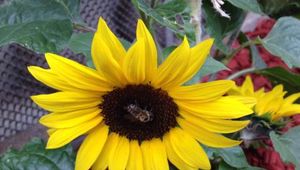 8 MARZO: NON SOLTANTO UNA FESTA 