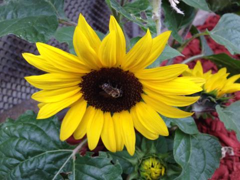 8 MARZO: NON SOLTANTO UNA FESTA 