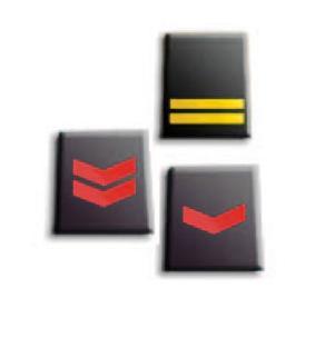 COMMISSIONE PERSONALE RUOLO SOVRINTENDENTI, AGENTI ED ASSISTENTI - ESITO 