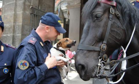 17° CORSO CONDUTTORI CINOFILI ANTIESPLOSIVO- RINVIO PARTENZA-