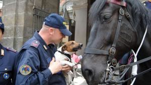 17&deg; CORSO CONDUTTORI CINOFILI ANTIESPLOSIVO- RINVIO PARTENZA-