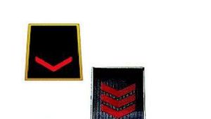 LA CAMERA HA APPROVATO IL RIORDINO DELLE CARRIERE