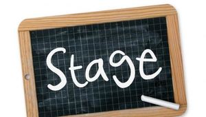 STAGE LINGUISTICO-PROFESSIONALE 