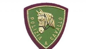 20&deg; CORSO PER CAVALIERI