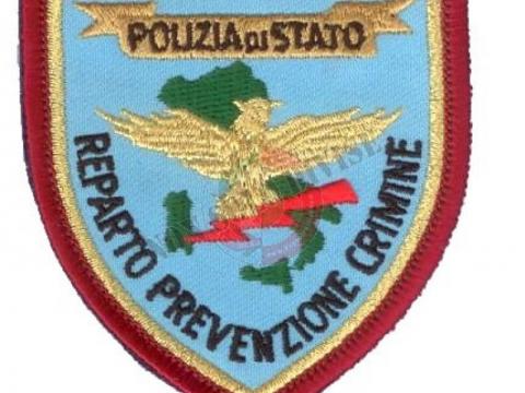 RPC - ORGANIZZAZIONE E MODALITÀ D'IMPIEGO