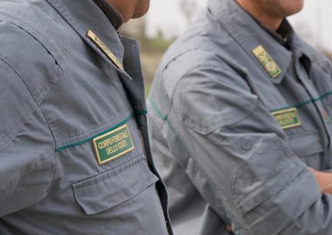 Sicurezza e Difesa, appello al Governo – Sindacati e COCER chiedono la sospensione del decreto sul Corpo forestale dello Stato 