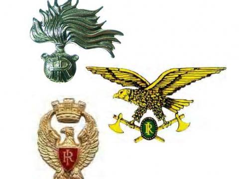 CORPO FORESTALE ASSORBITO DAI CARABINIERI = GOVERNO MIOPE DI FRONTE ALLA MILITARIZZAZIONE DELLE FUNZIONI DI PUBBLICA SICUREZZA