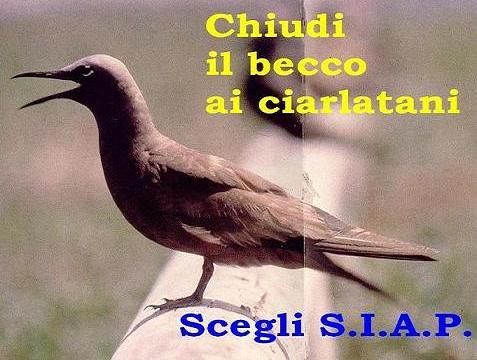 RIORDINO DELLE CARRIERE: CRONACA DEL CONFRONTO
