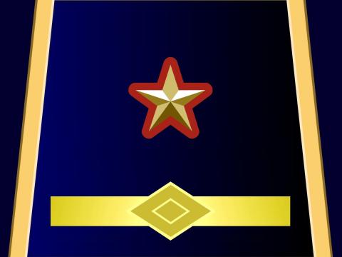 ATTRIBUZIONE DENOMINAZIONE  "SOSTITUTO COMMISSARIO"