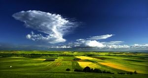 Un evidente bivio: dalla Capitanata al Gargano