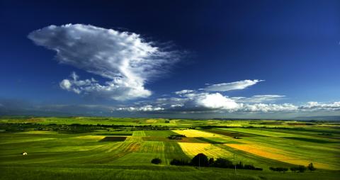 Un evidente bivio: dalla Capitanata al Gargano