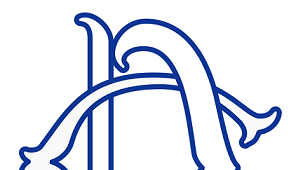 RIORDINO: PARERI COMMISSIONI 1^ - 4^ SENATO e CAMERA 