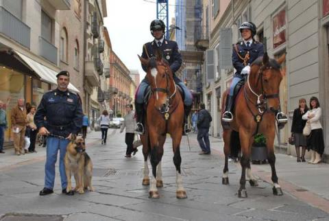 PROGETTO ISTITUZIONE CENTRO COORDINAMENTO SERVIZI A CAVALLO E CINOFILI