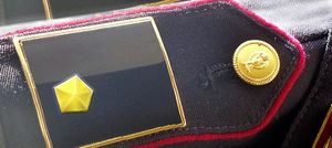 CONCORSO A 320 VICE ISPETTORI