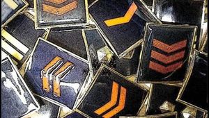 SCRUTINIO: RUOLI ORDINARI E RUOLI TECNICI - ASS.TE C. - SOVR.TE - SOVR.TE C. 