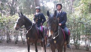 CHIUSURA DELLA SCUOLA PER I SERVIZI A CAVALLO DI FORESTA BURGOS