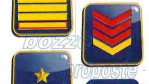 COMMISSIONE DI STUDIO PER LA REVISIONE DEI DISTINTIVI DI QUALIFICA 