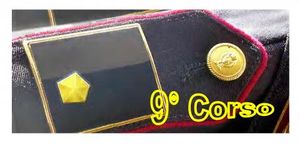 ASSEGNAZIONI 9&deg; CORSO V. ISPETTORI - La risposta del Dipartimento