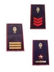 DENOMINAZIONE "COORDINATORE" + DECRETO