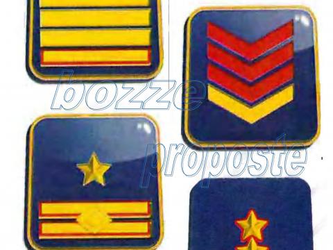 REVISIONE DEI DISTINTIVI DI QUALIFICA 