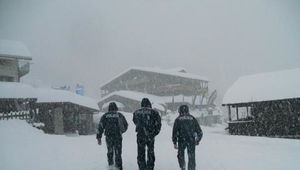 SERVIZI DI SICUREZZA E SOCCORSO IN MONTAGNA 
