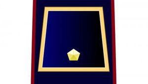 7&deg; E 8&deg; CORSO ISPETTORI 