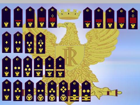 REVISIONE DEI DISTINTIVI DI QUALIFICA E REVISIONE DEI RUOLI