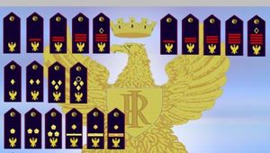 REVISIONE DEI DISTINTIVI DI QUALIFICA E REVISIONE DEI RUOLI