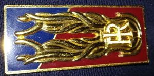 COMMISSIONI RUOLI TECNICI - Esiti