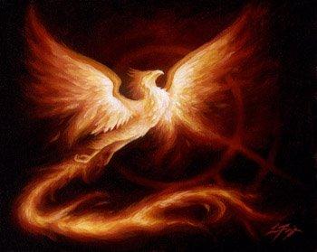 A QUALCUNO DIAMO FASTIDIO