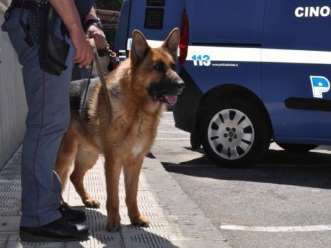 26° CORSO DI QUALIFICAZIONE PER CONDUTTORI CINOFILI ANTIDROGA