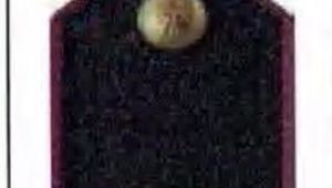 IX CORSO VICE ISPETTORI - DECORRENZA GIURIDICA NOMINA - RIDUZIONE TEMPI PERMANENZA NELLE DIVERSE QUALIFICHE 