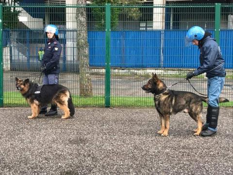 6° CORSO DI QUALIFICAZIONE PER CONDUTTORI CINOFILI DI PREVENZIONE GENERALE E TUTELA DELL'OP