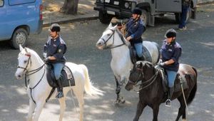PERSONALE IPPOMONTATO, COPERTURA ASSICURATIVA La risposta 