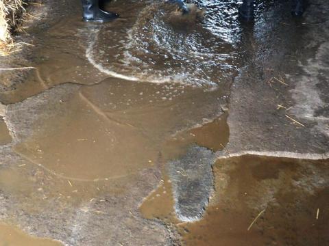 RIPRISTINATO IL SERVIZIO DI - RAMAZZA -?