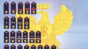 DISPOSIZIONE IN MATERIA DI REVISIONE DEI RUOLI DELLE FORZE DI POLIZIA